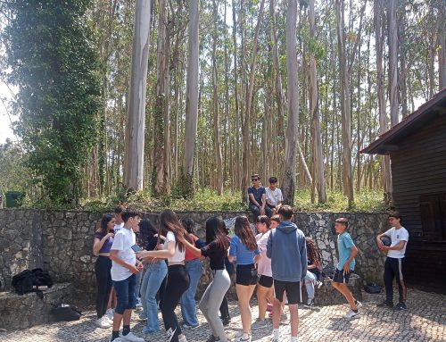 Erasmus+: La ecología desde la Laudato Si (proyecto conjunto SaFa – A. E. Rainha Santa Isabel, Carreira -Portugal)